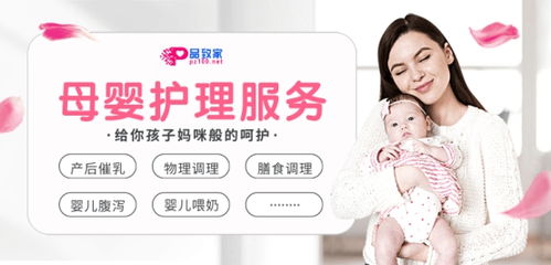 品致家家政在线学习 免费 课程目录