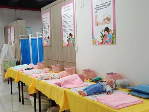 始兴家政服务业提质扩容,争当 领跑者