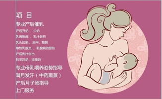 重庆家政业中的母婴护理与催乳工作 专业、关爱与市场需求